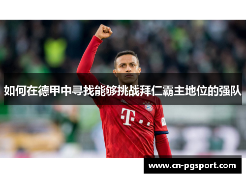 如何在德甲中寻找能够挑战拜仁霸主地位的强队 如何在德甲中寻找能够挑战拜仁霸主地位的强队