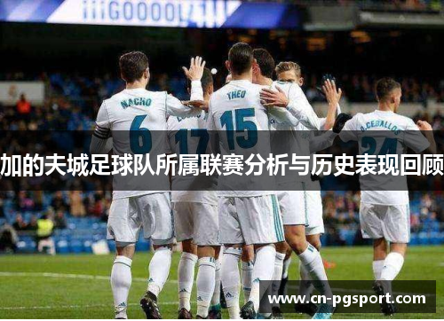 加的夫城足球队所属联赛分析与历史表现回顾 加的夫城足球队所属联赛分析与历史表现回顾