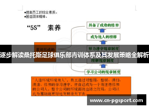 逐步解读桑托斯足球俱乐部青训体系及其发展策略全解析 逐步解读桑托斯足球俱乐部青训体系及其发展策略全解析