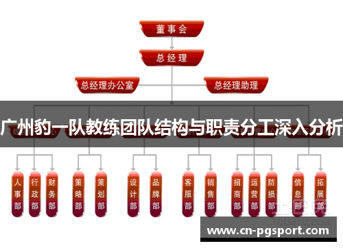 广州豹一队教练团队结构与职责分工深入分析
